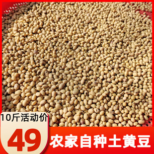 �ؑc�خa�E�A�α��S����Ʒ�N���r���ԷN�����S�����b�r�aƷ