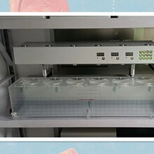 �����ܳ��Ȝyԇ�x ��̖:LT09-RC-6��̖��M386755