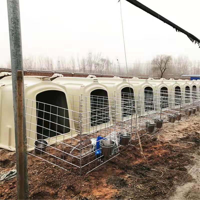 农场 牛犊岛 小牛棚 小牛屋 厂家批发直销 PE滚塑牛筋料耐腐耐光