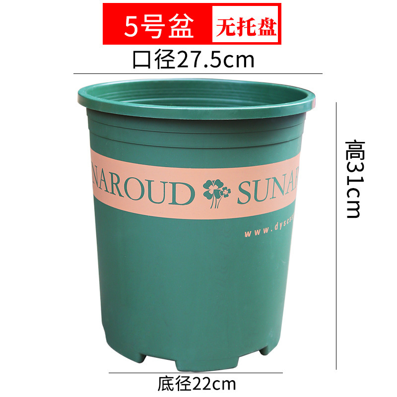 特大サイズの厚いガロン鉢青山プラスチック鉢に木を植えます。|undefined