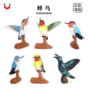 ���挍���w�B����ģ�ͷ��BС�BҰ���w�����z�[����ͯ�J֪������k
