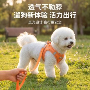 �ļ�������Ʒ�羳����ʽ������K؈�乷�ر���͸�ⷴ���޹����
