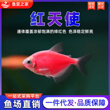 �t��ʹ�^�p�~��̖Ⱥ�Α���С�͵�ˮ���B�ͻ���ʹ�~�ϻ��Ꭷ�~�~��