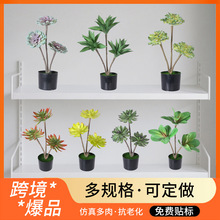 GֲJCԼٻb ҃Ȕ[̈Ꭷֲ