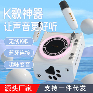 Wireless Audio Integrated Microphone Family Ktv Singing Entertainment Microphone Speaker Small Birthday Gift for Girls