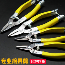 ��֦���޻�����֦���ɹ��@ˇ���ø��ٽ��ӵ������шA�^С��