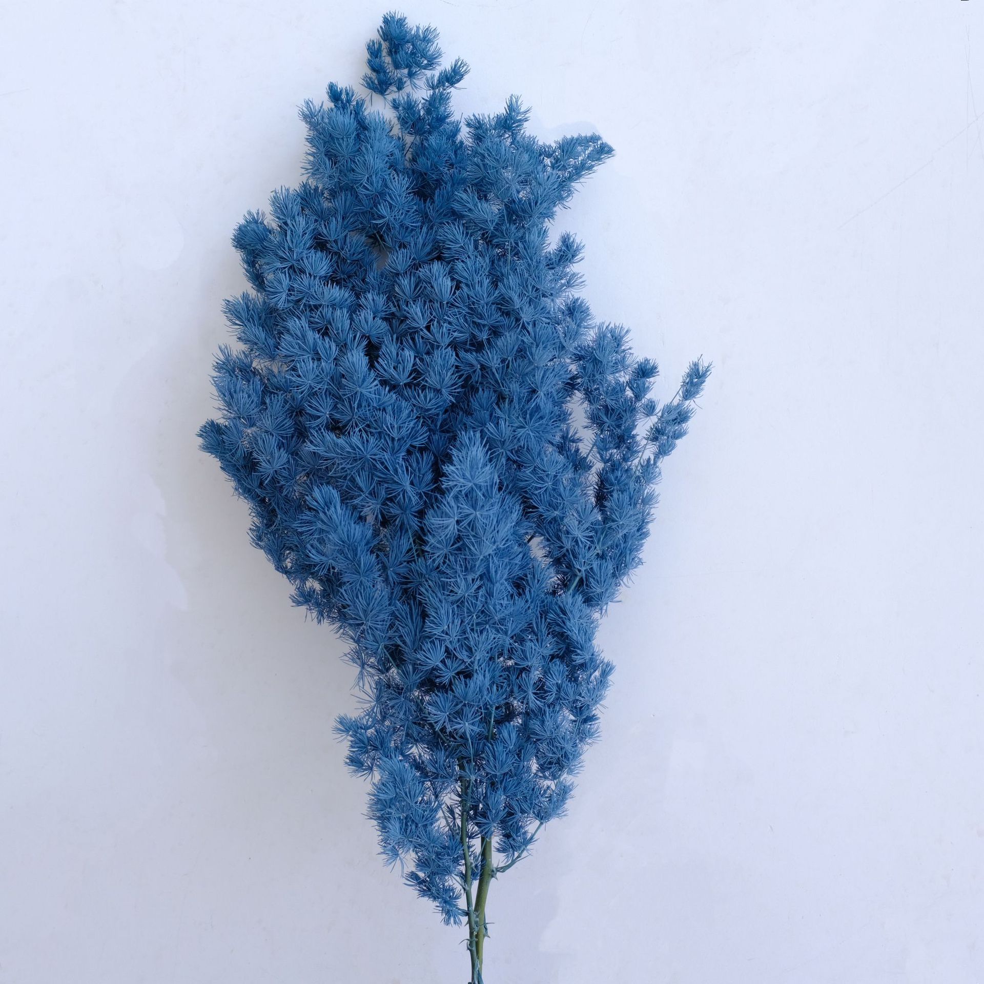 Star blue