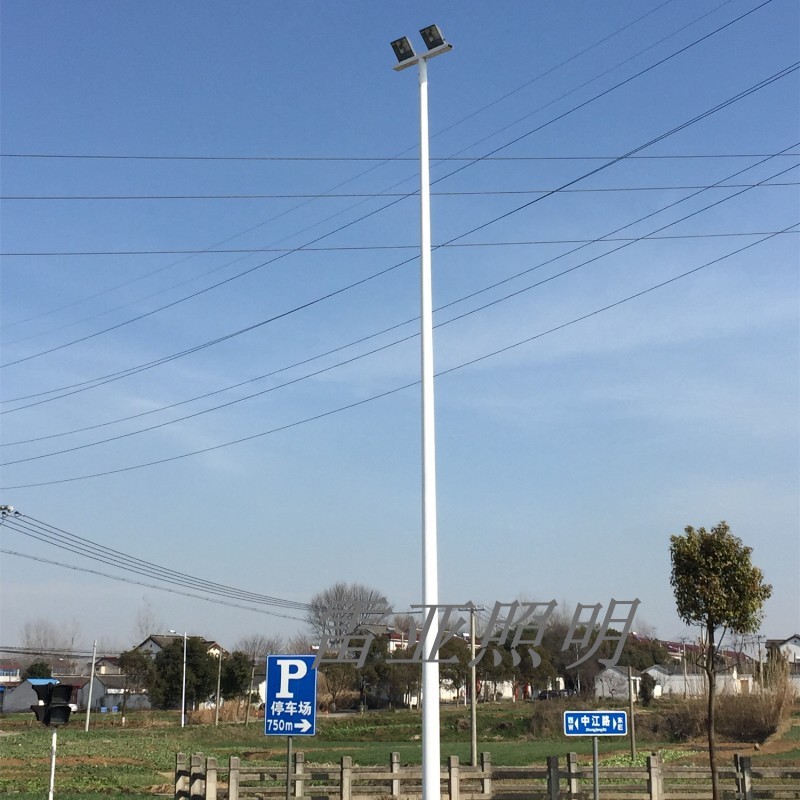 路灯户外高杆灯广场球场灯定制6米8米10米12米道路灯太阳能庭院灯|ms