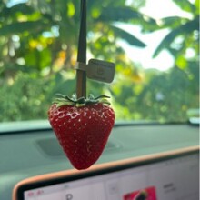 С�t��ͬ����t����o�Ѵ�̖��С̖��ݮ���|��ݮ�П����ɐ۲�ݮ