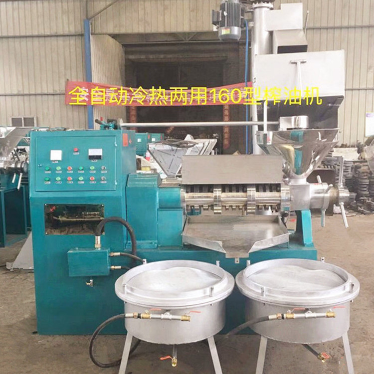 嵩赢生产全自动冷热两用榨油机 玉米螺旋榨油机 芝麻香油机