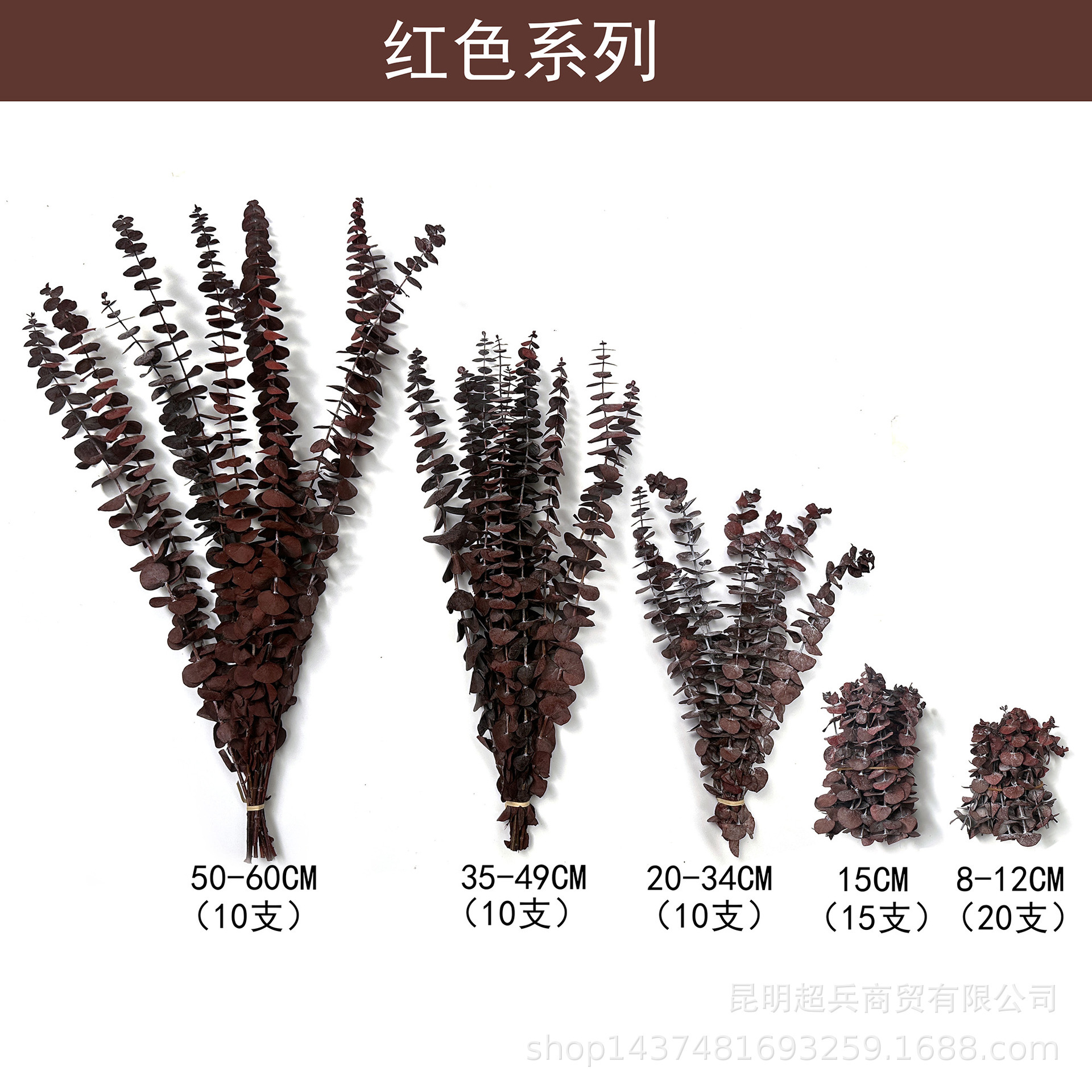 暗红色 / 长约50-60CM(10支)
