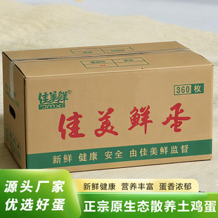 �����r���r���u�����u��ɢ�B�����r�o���������������������