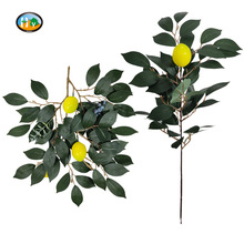 亞馬遜植物掛件檸檬 ins北歐風格室內裝飾綠植榕樹葉仿真檸檬壁掛