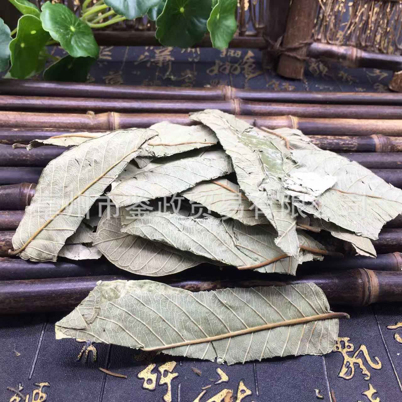 Guava Leaf Tea Folium Psidii Guajavae Fan Shi Liu Ye Dried Loose Leaves Bulk 500g quality and texture