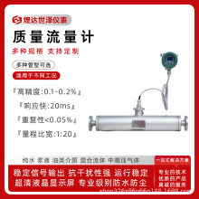 浆液质量流量计气体煤水混合质量流量浓度计高粘度智能质量流量计