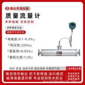 工业气体液体密度科里奥利质量流量计高温高压深冷直管质量流量计