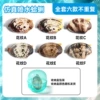 [Export quality] Bionic clam trendy toys and water spray ornaments wholesale - 1 model with storage box (total 6 models)