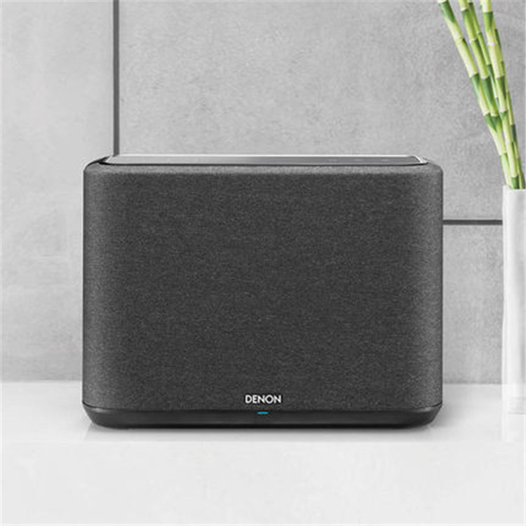 Tianlong Home250 wireless Bluetooth speaker HiFi audio support wifi multi-room wireless application lossless