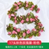 17 autumn rose vine pink