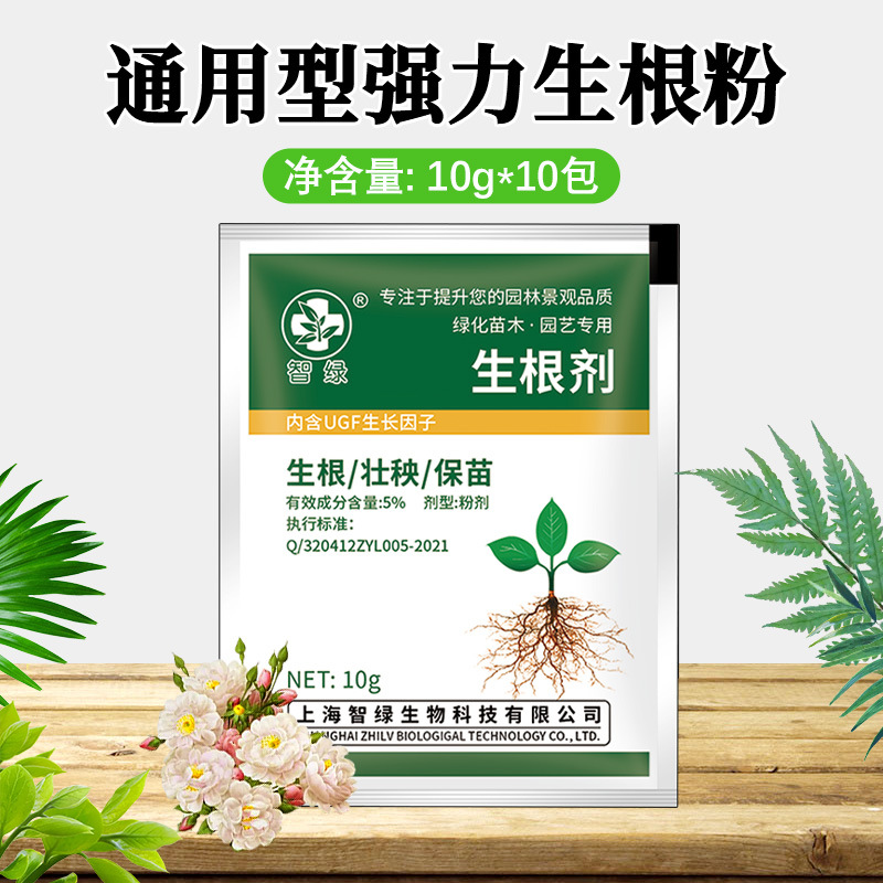 식물뿌리분말 10gx10팩