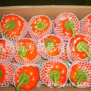 ������ʽ����t�S�Gɫ�����Y�|���S������ӹ���