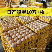 �u�����l���µ�_������30ö�r��ɢ�B�����u�����r�F����l�Ĵ�