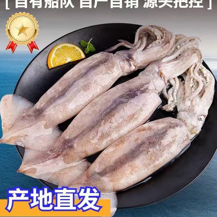鱿鱼新鲜鲜冻新鲜超大鱿鱼须生鲜火箭铁板烧烤海鲜冷冻商用批发