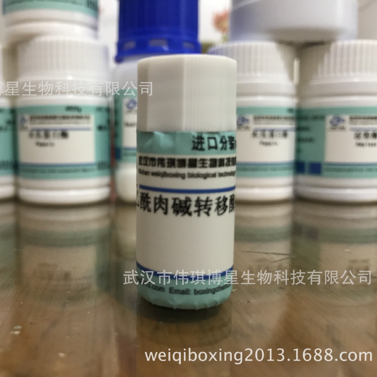 乙酰肉碱转移酶 5mg 9029-90-7 专用于食品和乳品中左旋肉碱测定