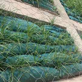 生态袋厂家河道护坡种植袋城市小区绿化生态袋固沙开荒植草袋