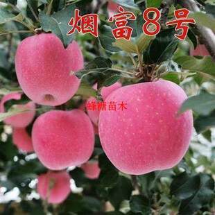��̨�ش����Ĵ����O�����籱��̖�Ϸ��޽ӿ����O���矟���Nֲ