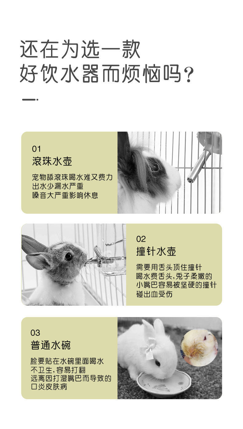 a65a744f-5137-4893-ac68-a04b4b5820f2.jpe