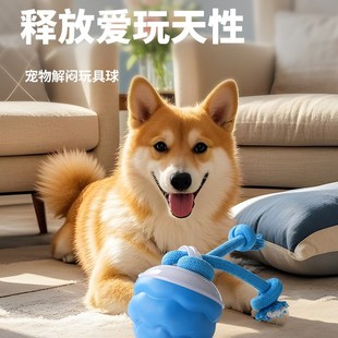 Pet Toy Jumping Ball Dog Toy Bite-resistant Ball Electric Dog Toy Self-relief Pet Cat Dog Toy
