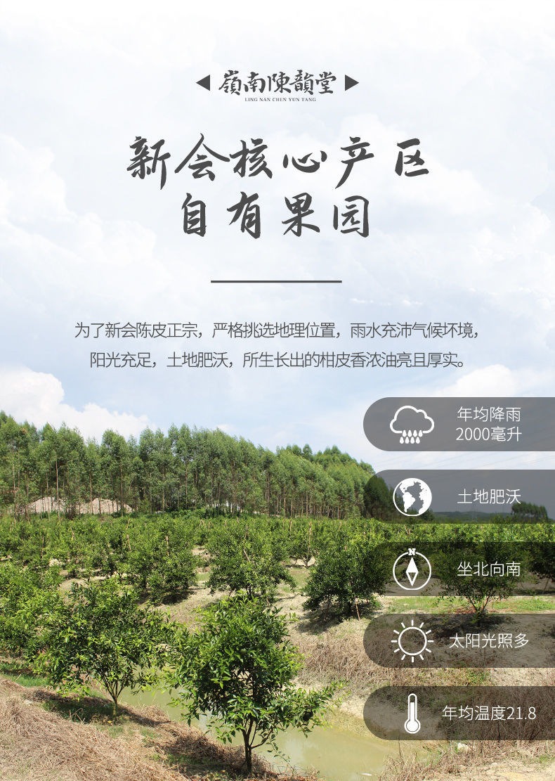 Xinhui Aged Chenpi Dried Tangerine Peel 500g Sun-Dried Citrus Peel for Tea and Soup specifications