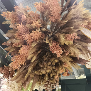 ���滨ˇ�K�F�~ ֲ�ﻨ�����W�L�҃��b���Gֲ�����~�Ӕ[��