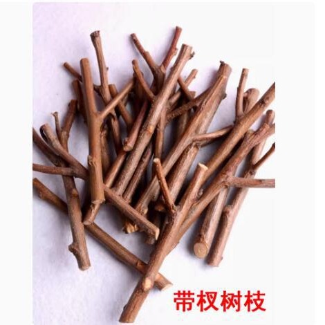 Small Branches with Branches, Dried Branches, Forest-stYle Creative Branches, Logs, Small Branches, Y-shaped Branches, Kindergarten Environmental Creation