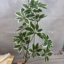 �������_ľ�����쾰��֦ɭϵ����ľ��Y���Ô[�������Gֲ�b����