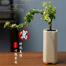 盆栽;其他园林资材;栽培基质