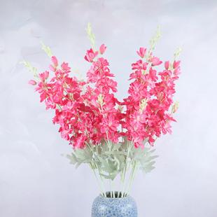 ���滨�w���ֲ�q2����w���{ɫ�L���ӻ�c·����Y�bٻ����l