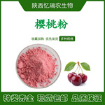樱桃粉vc17%  针叶樱桃提取物  巴西针叶樱桃粉粉末  厂家原料