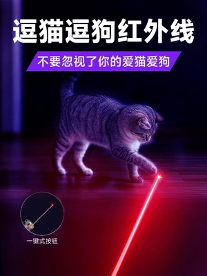 Cat Urine Detection, Cat | UV fənərlər