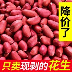 花生新货红皮花生米5斤无壳生四粒生米红衣红花生米农家特产100g