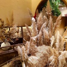 ��Ȼ�JȔ�ɻ��W�t����Ȕ������͈��������Ĕz�������JȔ���^���