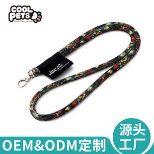 ���Ƹߏ��������K��ʈD�����C���ؿ��S��չ���쎧���l���K���r��