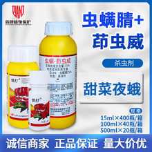 �h��� 35%�x�\��&middot;���x�� �ײ����xС�˶����ҹ�ꚢ�x���rș