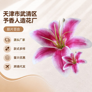 �zƬ�ٺϚWʽ�͹ŷ��滨�ָаٺϻ��Ҿ��b��敞Ⱦ�u׃ɫ���l