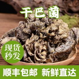 其他干货;蘑菇;牛肝菌