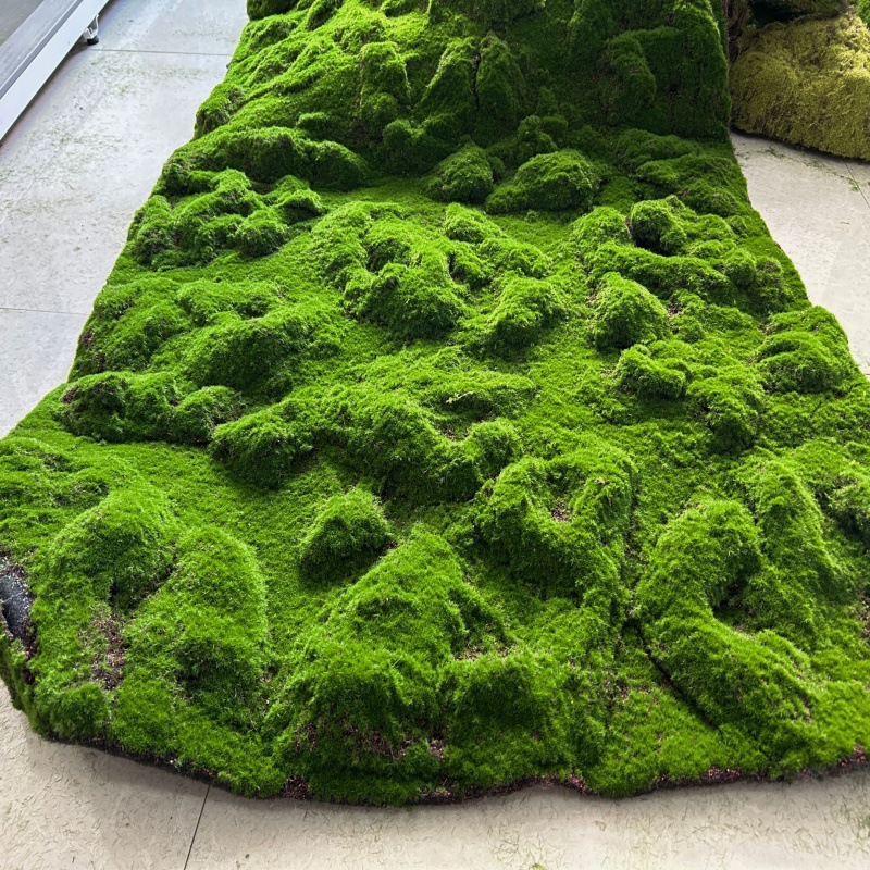 No. 1 model mountain, one square meter price