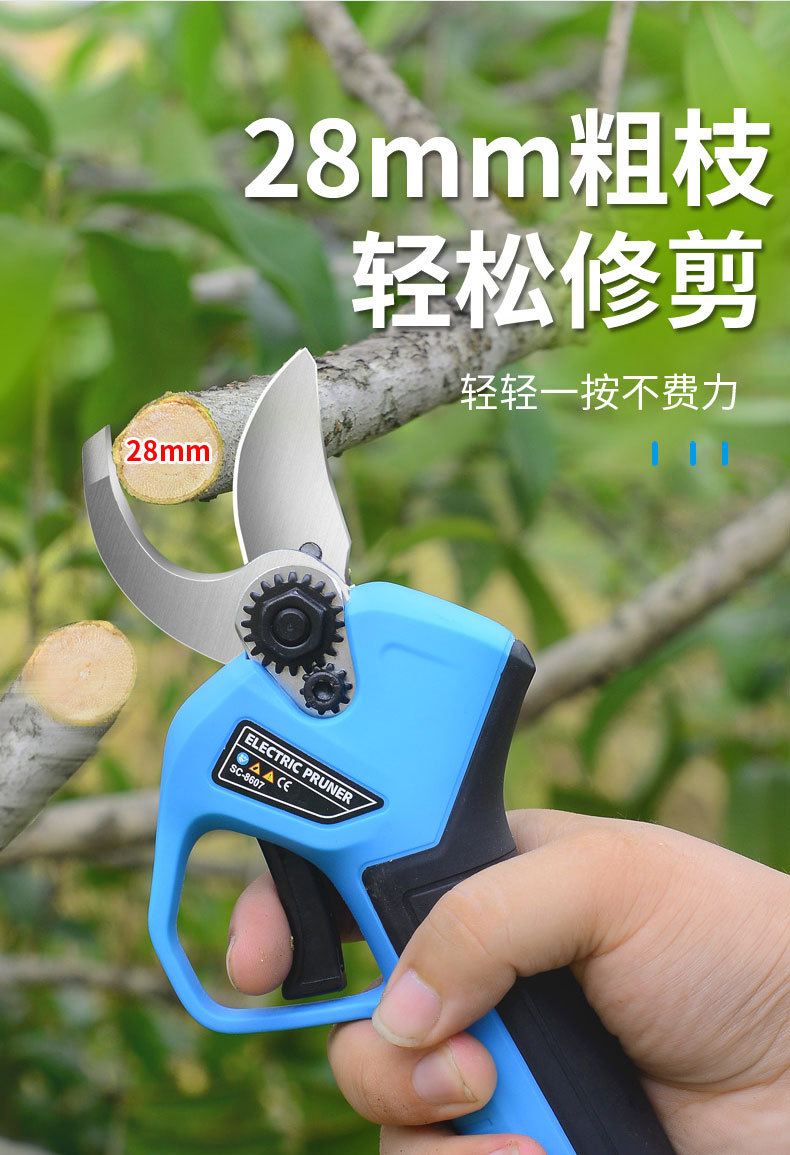 O1CN01CjoEl91bIU0PYJEBV_!!940213442-0-cib.jpg?__r__=1649560232516