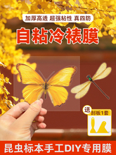 ����Ĥ��ճ�˺��˱���Ƭ�ܷ�Ĥ�߹↡����ճ�����oĤֲ����~��
