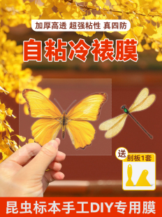 ����Ĥ��ճ�˺��˱���Ƭ�ܷ�Ĥ�߹↡����ճ�����oĤֲ����~��